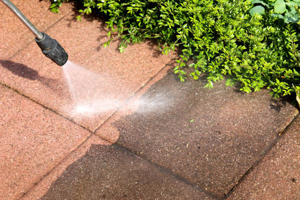 Best Pressure Washing Near Me  in Minster, OH